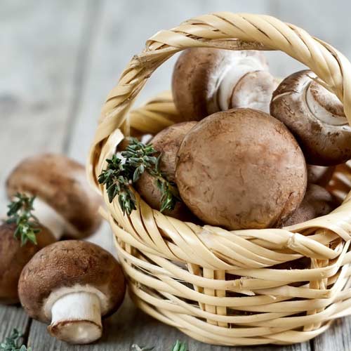 Pieczarka Portobello interface.image 1 interface.art 9754