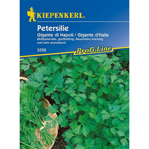 Pietruszka naciowa Gigante di Napoli interface.image 1 interface.art 96644