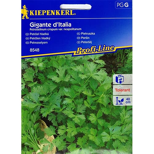 Pietruszka naciowa Gigante d'Italia interface.art zdjęcie 1 Pietruszka naciowa Gigante d'Italia interface.image 1 interface.art 86503