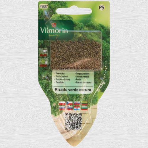 Pietruszka Rizado verde oscuro interface.art zdjęcie 1 Pietruszka Rizado verde oscuro interface.image 1 interface.art 69736