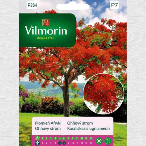 Płomień Afryki interface.image 1 interface.art 69771