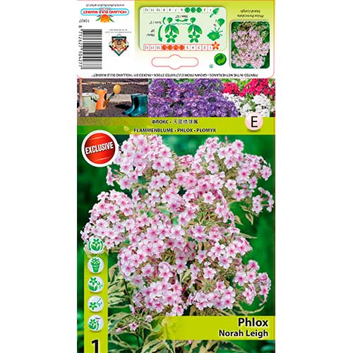 Płomyk Nora Leigh interface.image 1 interface.art 70447