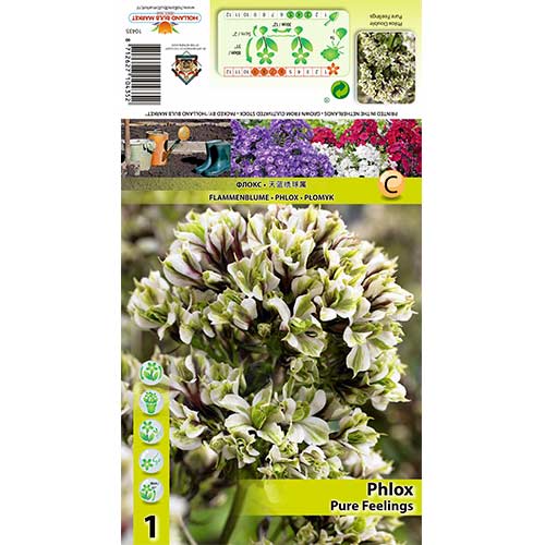 Płomyk Pure Feelings interface.image 1 interface.art 70448