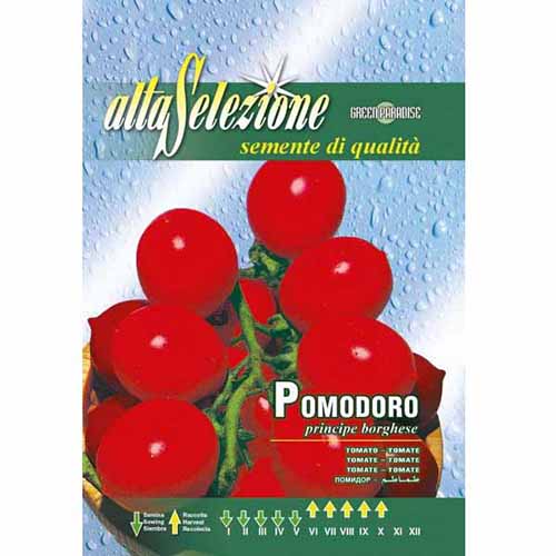 Pomidor cherry Principe Borghese Morami interface.art zdjęcie 1 Pomidor cherry Principe Borghese Morami interface.image 1 interface.art 87184