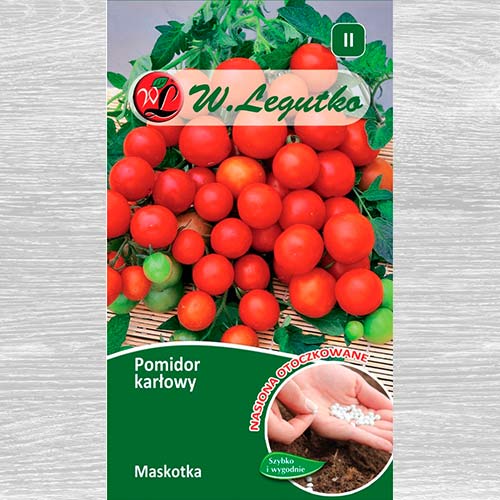 Pomidor gruntowy karłowy  Maskotka  interface.art zdjęcie 1 Pomidor gruntowy karłowy  Maskotka  interface.image 1 interface.art 69439