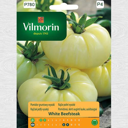 Pomidor gruntowy wysoki White Beefsteak interface.art zdjęcie 1 Pomidor gruntowy wysoki White Beefsteak interface.image 1 interface.art 69716