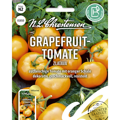 Pomidor gruntowy Zlatava Chrestensen interface.image 1 interface.art 86045