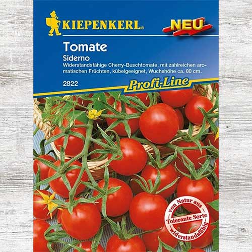 Pomidor koktajlowy Siderno F1 interface.art zdjęcie 1 Pomidor koktajlowy Siderno F1 interface.image 1 interface.art 86418