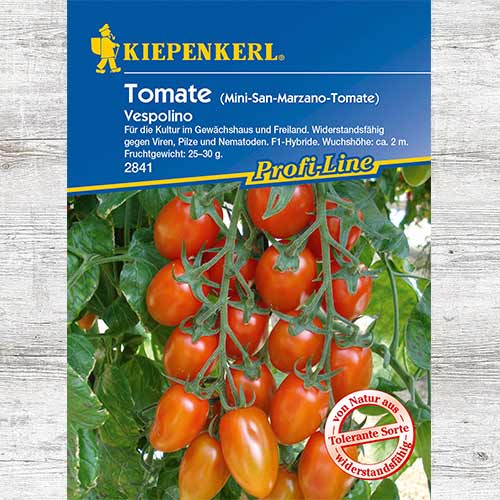 Pomidor koktajlowy Vespolino F1 interface.art zdjęcie 1 Pomidor koktajlowy Vespolino F1 interface.image 1 interface.art 86438