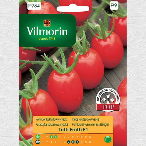 Pomidor koktajlowy wysoki Tutti Frutti F1 interface.image 1 interface.art 69715