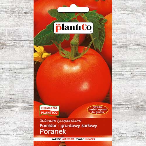 Pomidor Poranek interface.art zdjęcie 1 Pomidor Poranek interface.image 1 interface.art 86984