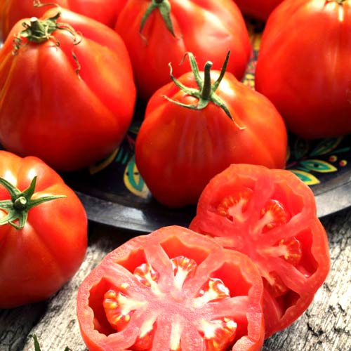 Pomidor Red Pear  interface.art zdjęcie 1 Pomidor Red Pear  interface.image 1 interface.art 8724