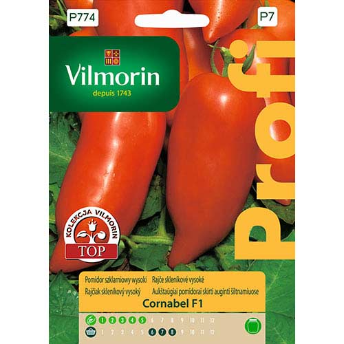 Pomidor szklarniowy Conrabel F1 Vilmorin interface.image 1 interface.art 77746