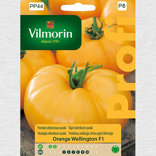 Pomidor szklarniowy wysoki Orange Wellington F1 interface.art zdjęcie 1 Pomidor szklarniowy wysoki Orange Wellington F1 interface.image 1 interface.art 69713