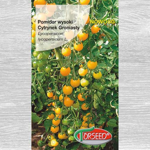 Pomidor wysoki Cytrynek Groniasty interface.image 1 interface.art 77633