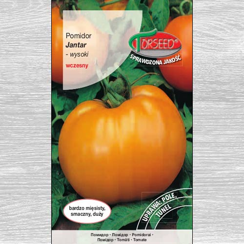 Pomidor wysoki Jantar interface.image 1 interface.art 77637