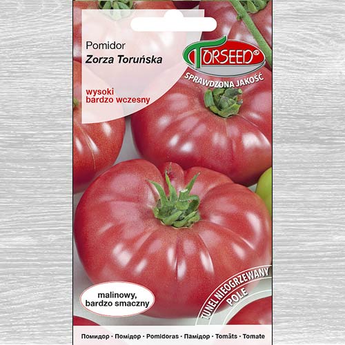 Pomidor wysoki Zorza Toruńska interface.image 1 interface.art 77638