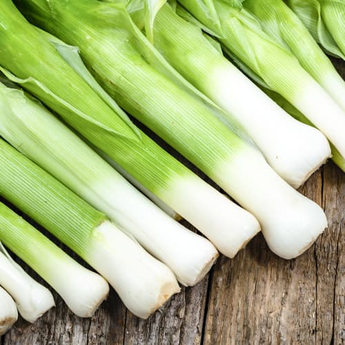 Cebula por Elefant interface.image 1 interface.art 50020