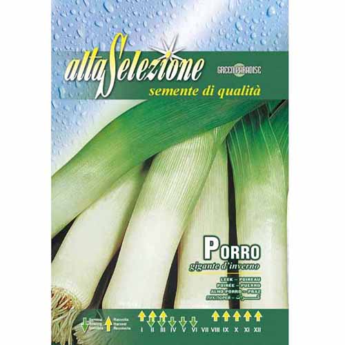 Por Gigante d'Inverno Morami interface.image 1 interface.art 87164