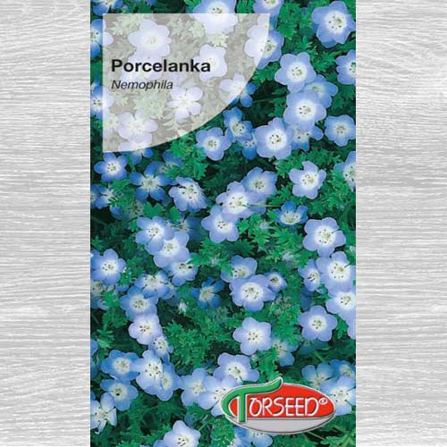 Porcelanka niebieska interface.image 1 interface.art 77580