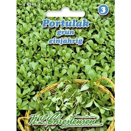 Portulaka warzywna interface.image 1 interface.art 96439