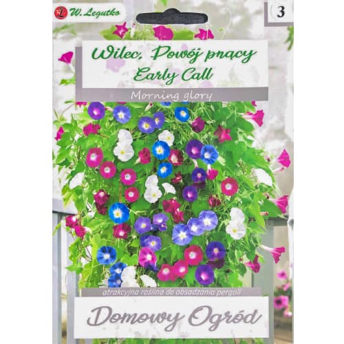 Wilec (Ipomoea) Early Call interface.image 1 interface.art 96781