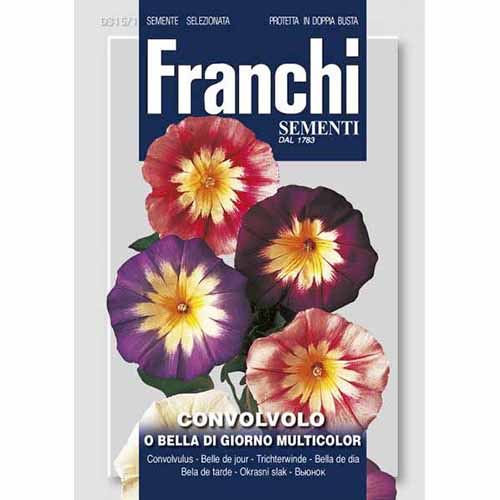 Powój trójbarwny, mieszanka kolorów Morami interface.image 1 interface.art 87315