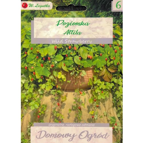 Poziomka Attila interface.image 1 interface.art 69663