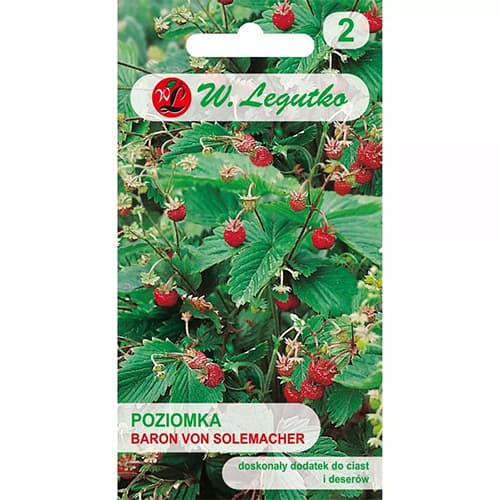 Poziomka Baron von Solemacher interface.image 1 interface.art 69529