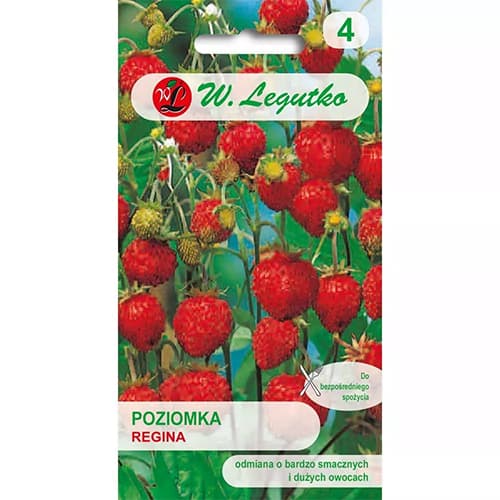 Poziomka Regina, nasiona interface.image 1 interface.art 86953