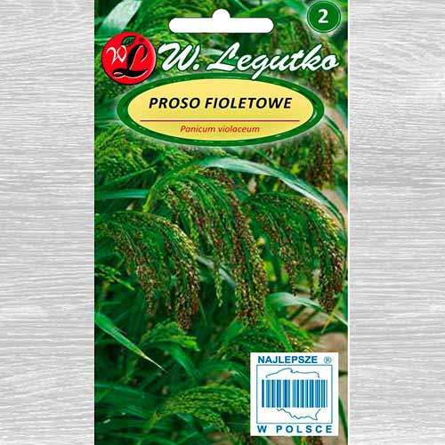 Proso fioletowe interface.image 1 interface.art 69626