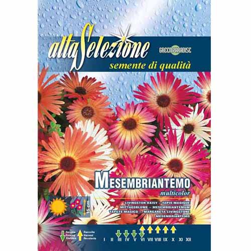 Przypołudnik (Delosperma), mieszanka kolorów Morami interface.image 1 interface.art 96354