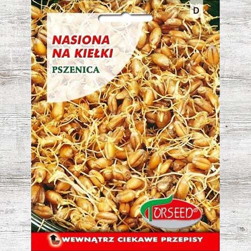 Pszenica, nasiona na kiełki interface.image 1 interface.art 87067