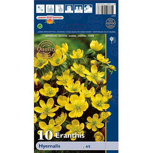 Rannik zimowy interface.image 1 interface.art 68052