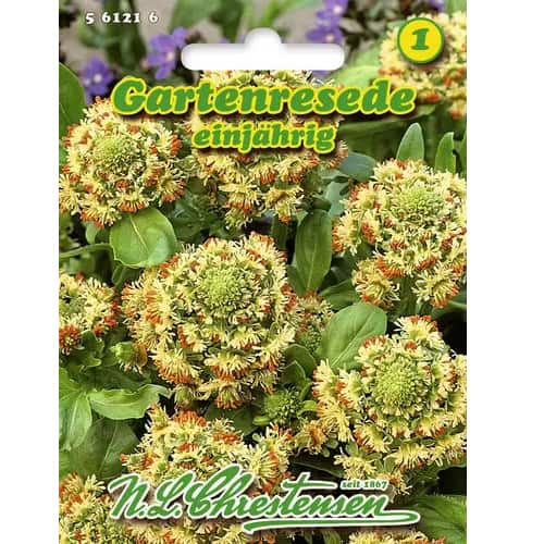 Rezeda interface.image 1 interface.art 96441