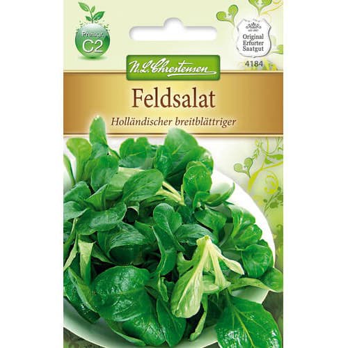 Salata roszponka warzywna Hollandischer breitblattriger interface.image 1 interface.art 78767