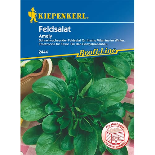 Salata roszponka warzywna Amely interface.art zdjęcie 1 Salata roszponka warzywna Amely interface.image 1 interface.art 87276