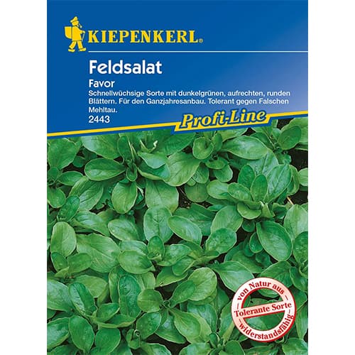 Salata roszponka warzywna Favor interface.image 1 interface.art 86449