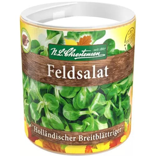 Salata roszponka warzywna interface.art zdjęcie 1 Salata roszponka warzywna interface.image 1 interface.art 86224