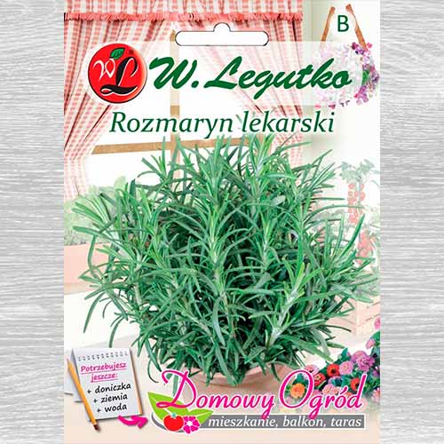 Rozmaryn lekarski Legutko interface.image 1 interface.art 69653