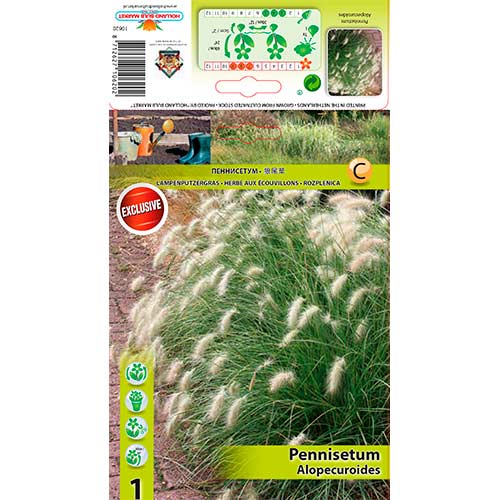 Rozplenica Alopecuroides interface.image 1 interface.art 76345