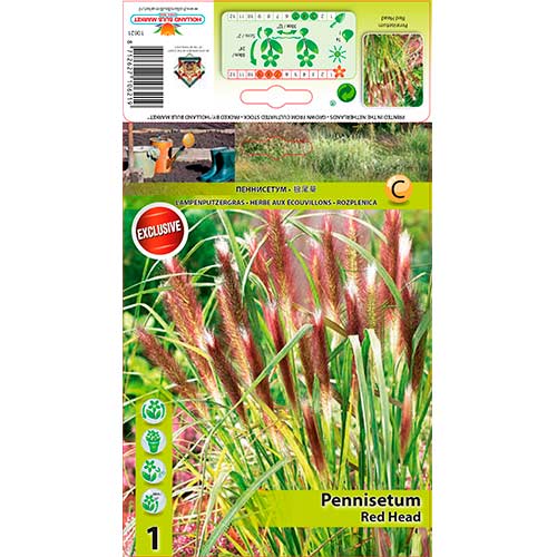 Rozplenica Red Head interface.image 1 interface.art 76346