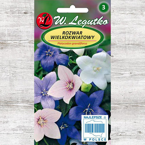 Rozwar wielkokwiatowy (Platykodon), mieszanka Legutko interface.image 1 interface.art 87110