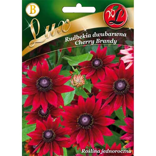 Rudbekia Cherry Brandy interface.image 1 interface.art 96777