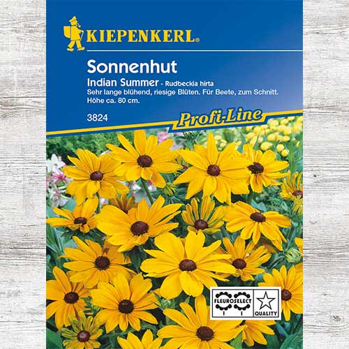 Rudbekia owłosiona Indian Summer interface.image 1 interface.art 86330