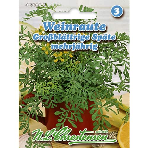 Ruta zwyczajna interface.image 1 interface.art 86022