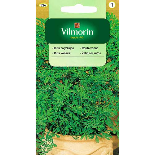 Ruta zwyczajna Vilmorin interface.image 1 interface.art 77750