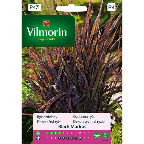Ryż ozdobny Black Madras Vilmorin interface.image 1 interface.art 86650