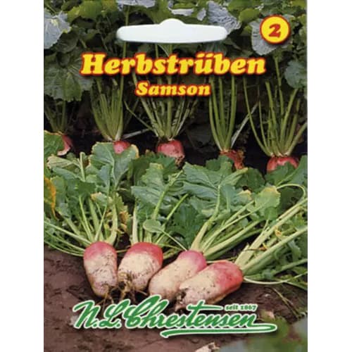 Rzepa Samson interface.image 1 interface.art 96476