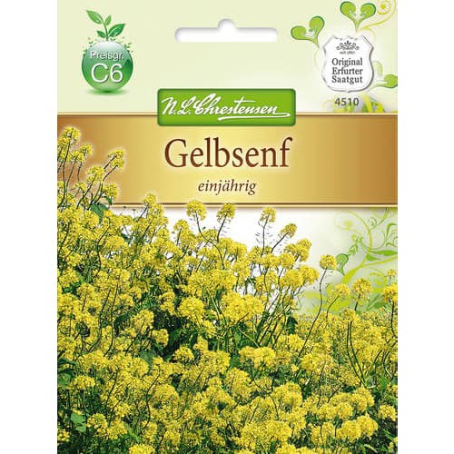 Gorczyca polna zolta na zielony nawoz interface.image 1 interface.art 78877